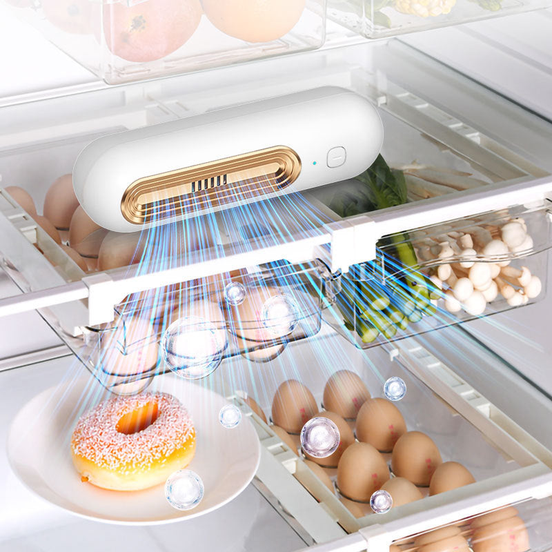 Fridge Deodorizer (Rechargeable)